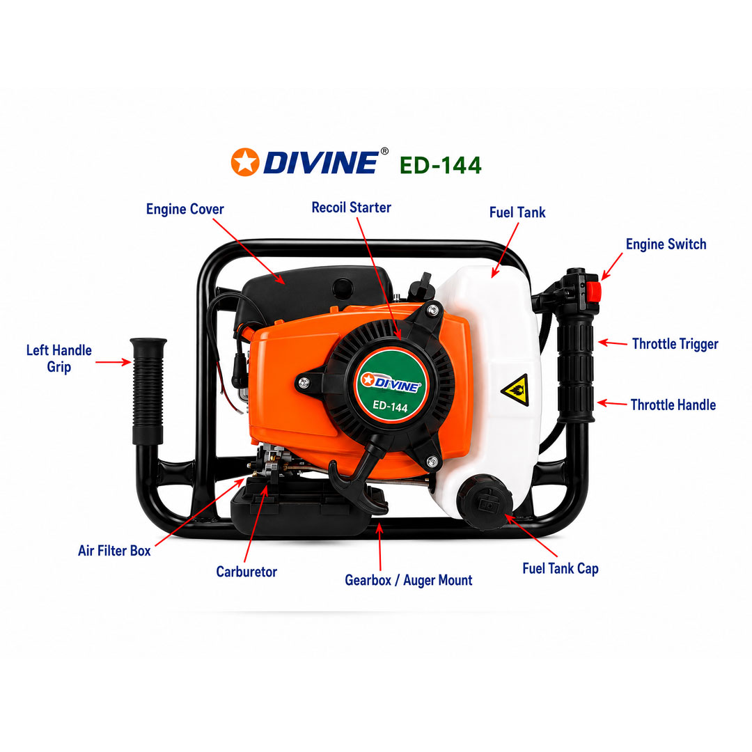 DIVINE - Image 2