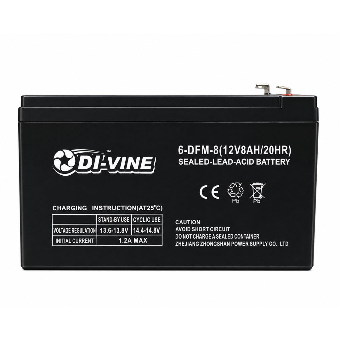 Divini Battery DV BAT